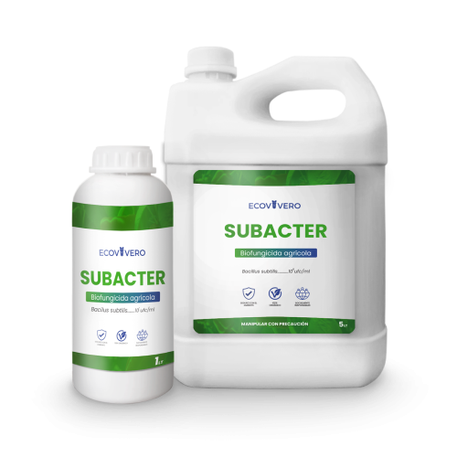 SUBACTER (1)